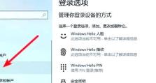 电脑显示PLN错误的原因分析与解决方法（探究电脑显示PLN错误的根源，为您解决烦恼）