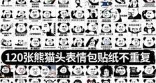 如何制作熊猫表情包教程（以电脑为主题的熊猫表情包制作步骤）