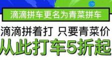 滴滴青菜拼司机教程（学会滴滴青菜拼司机技巧，赚取额外收入）