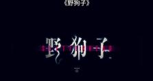 以小马四画质如何？一场视觉盛宴的探索之旅（探秘小马四画质的细节之美，解码游戏画面的极致体验）