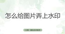 照片去水印技巧大揭秘（简单有效的方法帮你轻松去除照片水印）
