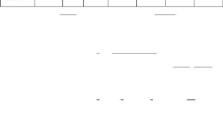 W8PE安装教程（使用W8PE创建自己的便携WindowsPE启动盘）