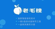 老桃毛系统安装教程（深入了解老桃毛系统安装步骤和技巧，打造独一无二的电脑环境）