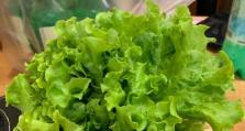 大白菜5.0系统教程（大白菜5.0系统教程，快速掌握高效办公技巧）