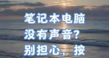 电脑没有声音的解决方法（调试电脑音频设置，解决无声问题）