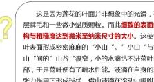 探索未来世界的奇迹（突破性科技改变人类生活）